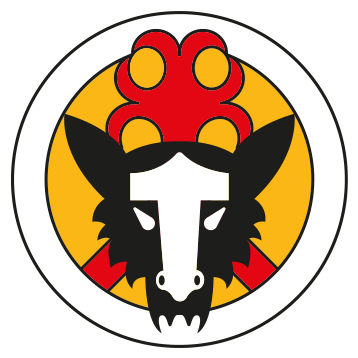 The Vikings Logo